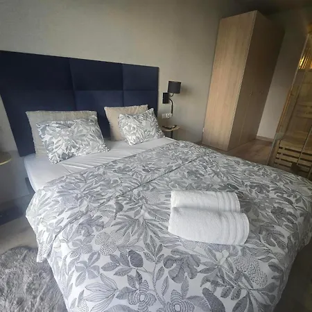 Nadgornikow Noho Premium
